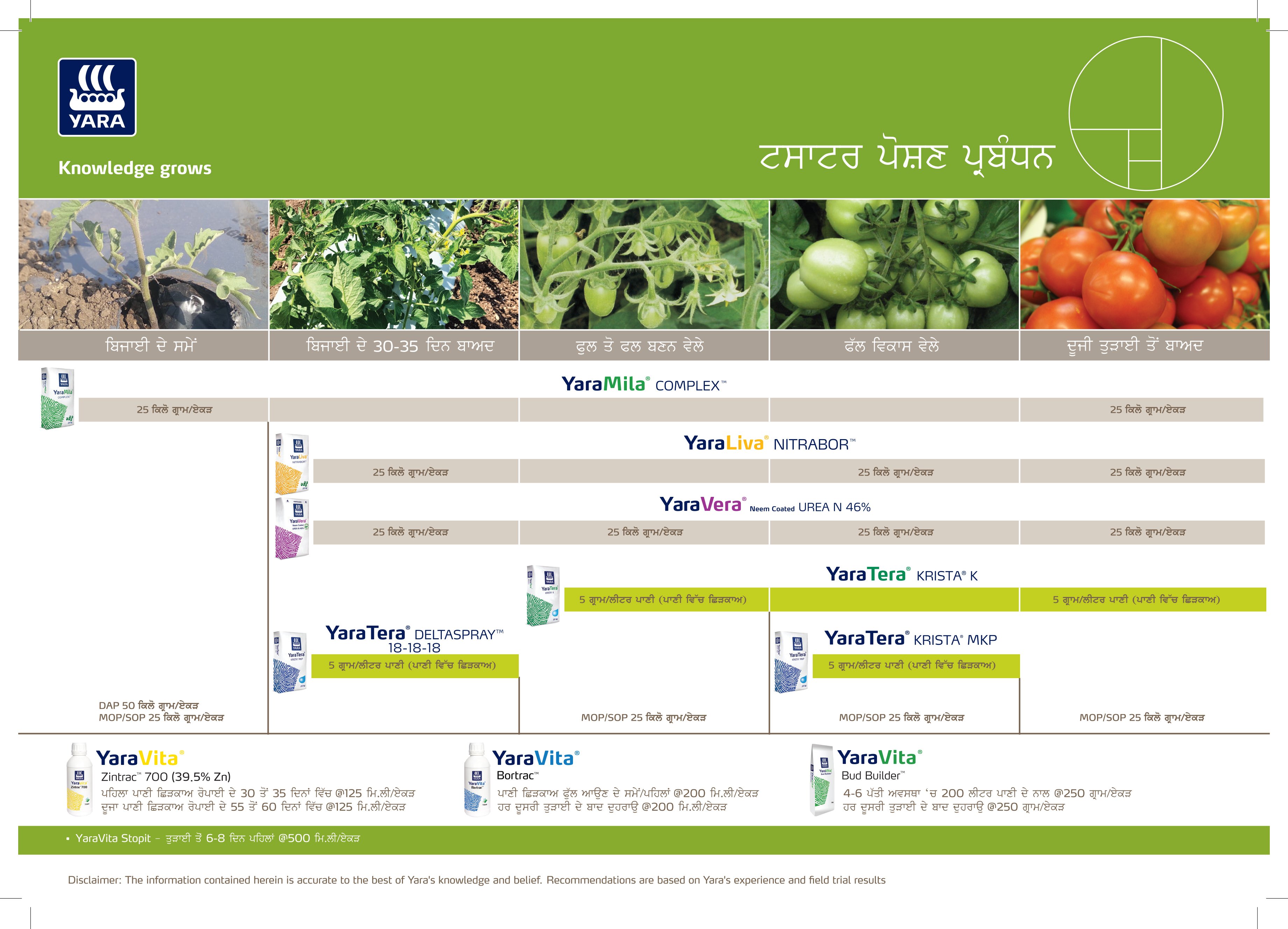Tomato Crop Plan_Punjabi_30-01-2025-02.jpg