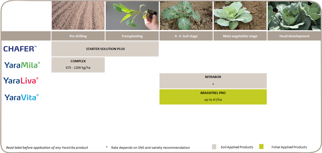 Disclaimer: The information contained herein is to the best of Yara's knowledge and belief accurate. Recommendations and results stated, unless otherwise acknowledged, are based upon Yara's experience and on field trial results.